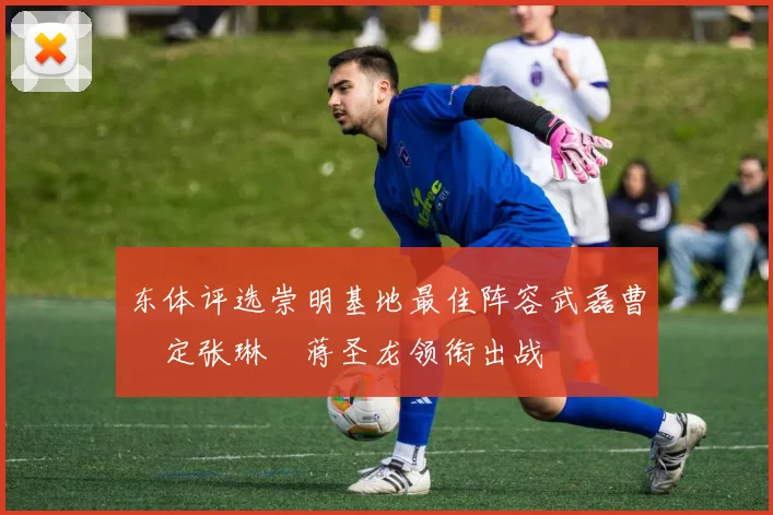 东体评选崇明基地最佳阵容武磊曹赟定张琳芃蒋圣龙领衔出战