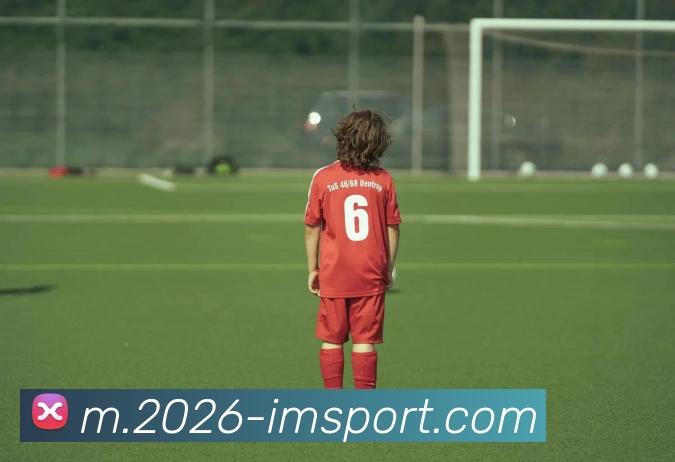 IM体育发展历程